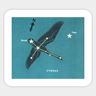 Cygnus Constellation - Vintage Astronomy Illustration Sticker